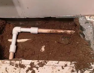 平舆测漏水哪家好