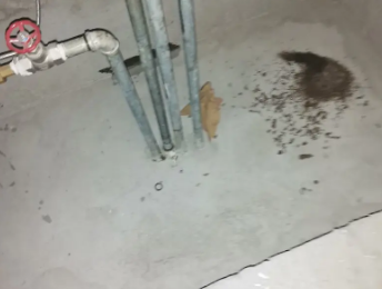 平舆卫生间测漏水价格明细