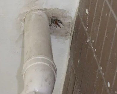 平舆漏水检测哪家好